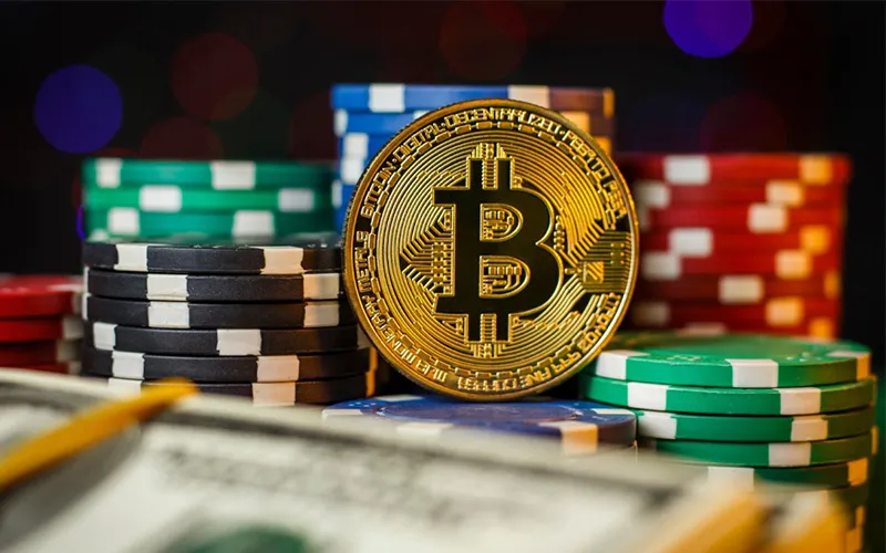 Giao dịch tài chính tại VUA99 luôn được mã hóa và giám sát chặt chẽ